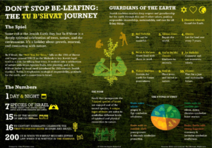 Tu'Bshvat infographic explaining the details of the holiday